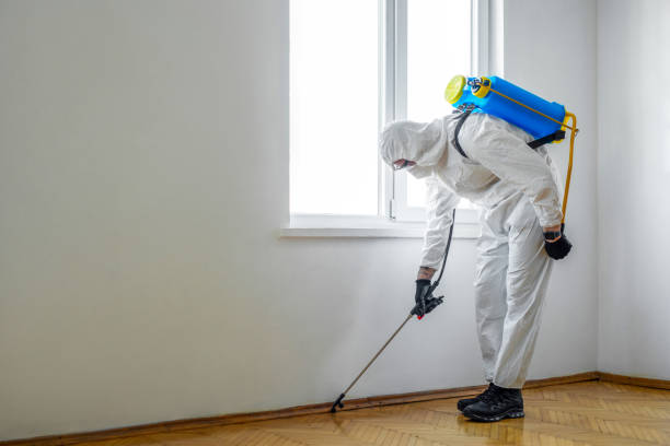 Best Pest Inspection Near Me  in Eagle Lake, FL