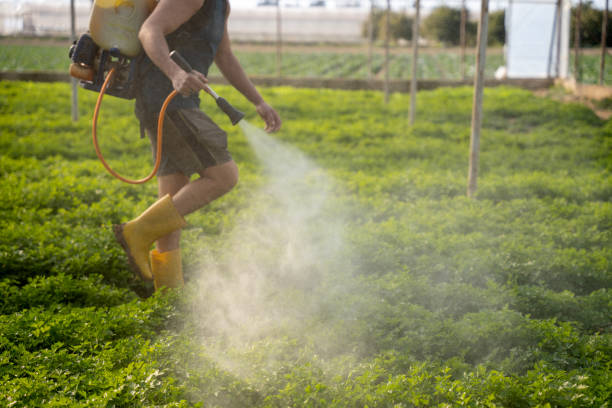 Professional Pest Control in Eagle Lake, FL